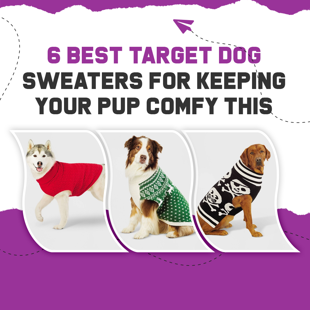 6 Best Target Dog Sweaters For Keeping Your Pup Comfy This Winter